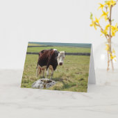 Grappige groetenkaart kaart (Gele Bloem)