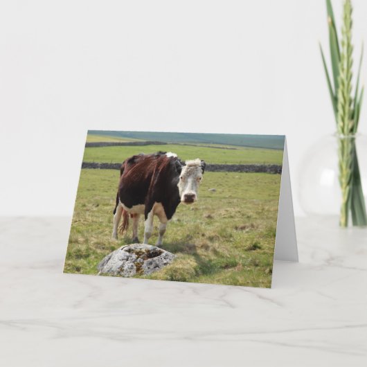 Grappige groetenkaart kaart (Voorkant)