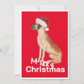 Grappige Grote Deen Hond Kerstmis Kerstman Hoed Va (Voorkant)