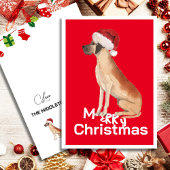 Grappige Grote Deen Hond Kerstmis Kerstman Hoed Va