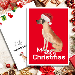 Grappige Grote Deen Hond Kerstmis Kerstman Hoed Va