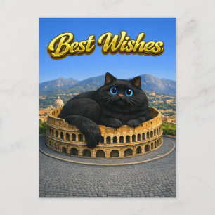 Grappige Grote Zwarte Kat Romeinse Colosseum Beste Briefkaart