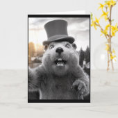 Grappige Ground Hog Day Woodchuck Grappige Groundh Kaart (Gele Bloem)