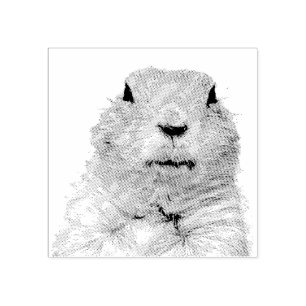 Grappige Ground Hog Woodchuck Rubberstempel