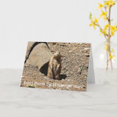 Grappige Groundhog Day Kaart (Gele Bloem)