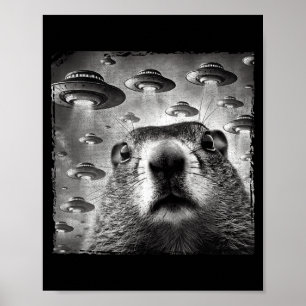 Grappige Groundhog Selfie Met Alien Ufos Groundhog Poster