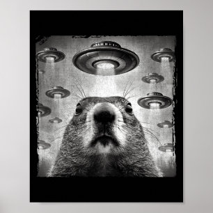 Grappige Groundhog Selfie Met Alien Ufos Groundhog Poster