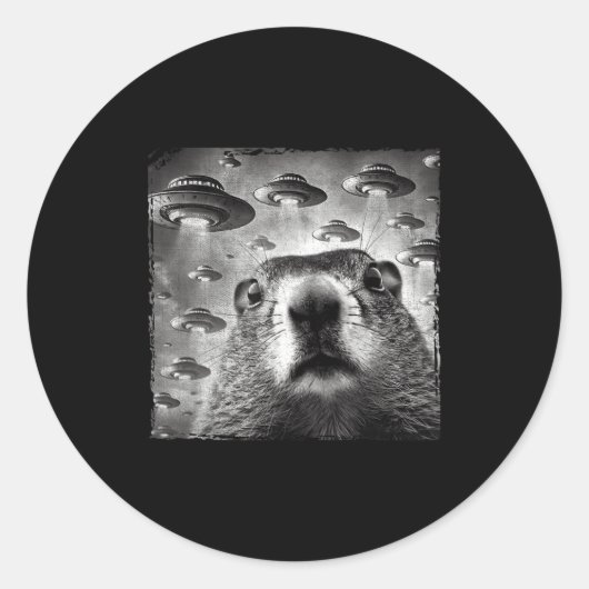 Grappige Groundhog Selfie Met Alien Ufos Groundhog Ronde Sticker (Voorkant)