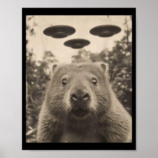Grappige Groundhog Selfie Met Ufos Rare Groundhog Poster (Voorkant)
