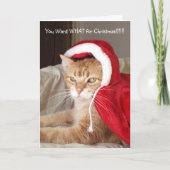 Grappige Grumpy Ginger Cat Christmas Kaart Humor (Voorkant)