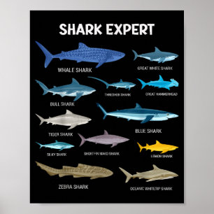 Grappige haaien T-shirt voor mannen Oceaan vis kin Poster