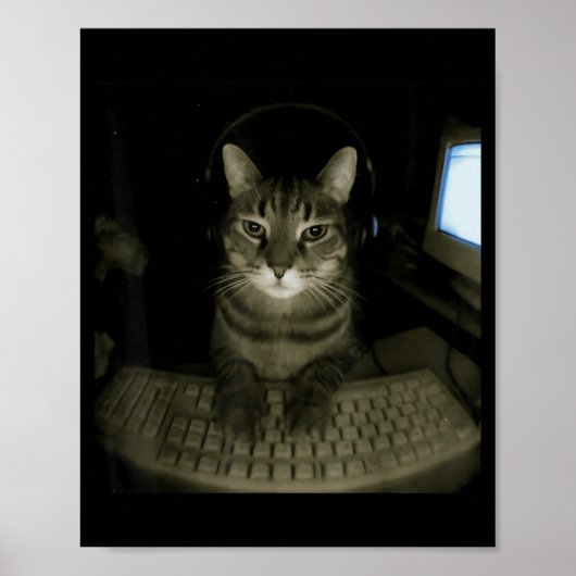 Grappige Hacker Kat Meme Computer Katje Gamer Kat Poster (Voorkant)