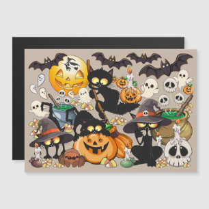 Grappige Halloween Feest voor Katten