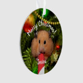 Grappige hamster die een snoeprietje ornament eet (voorkant)