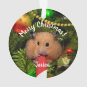 Grappige hamster die een snoeprietje ornament eet (achterkant)