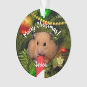 Grappige hamster die een snoeprietje ornament eet (voorkant)