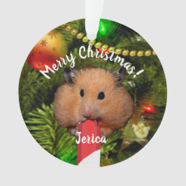 Grappige hamster die een snoeprietje ornament eet