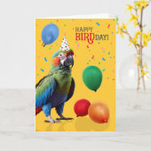 Grappige Harlekijn Ara Papegaai Verjaardag Kaart (Gele Bloem)