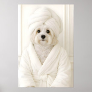 Grappige Havanese badkamerprint, Havanese in Poster