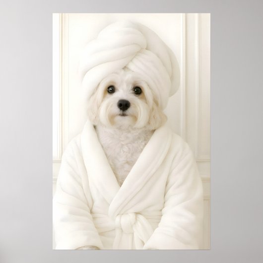 Grappige Havanese badkamerprint, Havanese in Poster (Voorkant)