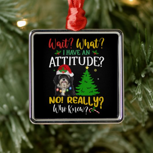 Grappige Havanese hond Metalen Ornament (Boom)