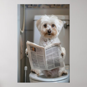 Grappige Havanese Hond Print, Badkamer Kranten Kun Poster