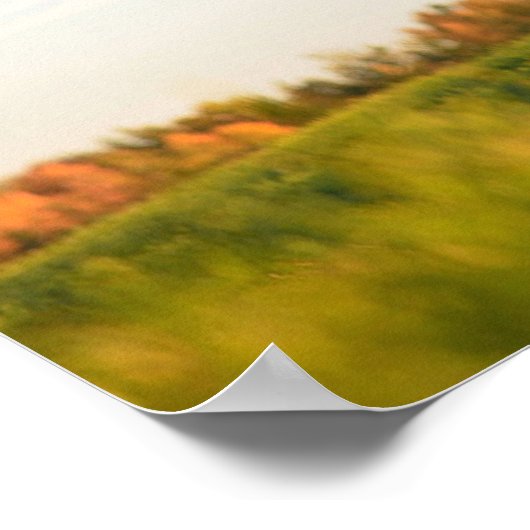 Grappige Heifer Uitstekend in Mijn Gebied Poster (Hoek)