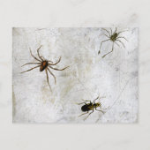 Grappige heksenbenen Wicked Halloween Briefkaart (Achterkant)