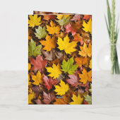 Grappige herfsteekhoorn Thanksgiving Kaart (Achterkant)