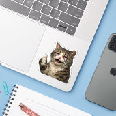 Grappige Herkenbare Huilende Kitty Meme Sticker (Laptop met iPhone)