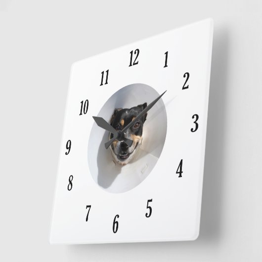 Grappige het glimlachen hondklok vierkante klok (Hoek)