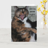 Grappige het Lachen Kat, (Antiek) Verjaardag Kaart (Gele Bloem)