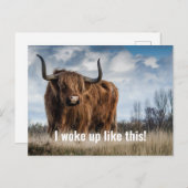 Grappige Highland Koe foto Ik werd wakker als dit  Briefkaart (Voorkant / Achterkant)