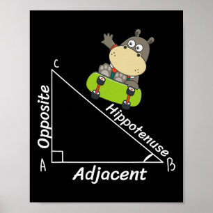 Grappige Hipo Skater Geometrie Hypotenuse Wiskunde Poster
