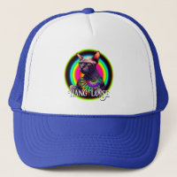 Grappige Hippie Sphynx Kat