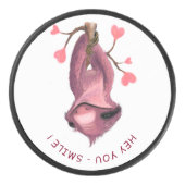 Grappige hockey puck speelse luiaard glimlach aang (Voorkant)