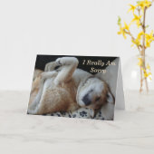 Grappige hond afbeelding schattige akita uiten sor kaart (Gele Bloem)