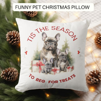 Grappige hond bedelen voor kersttraktaties kussen