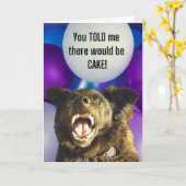 Grappige hond die je me vertelde dat er taart verj kaart (Gele Bloem)