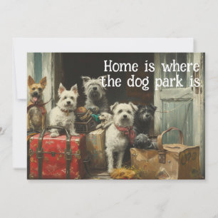 Grappige hond die nieuwe adresaankondiging verplaa