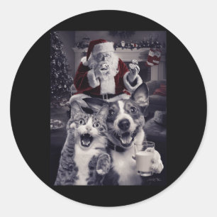 Grappige hond en kat selfie met kerstmis ronde sticker