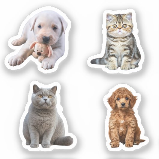grappige hond en kat sticker (Voorkant)