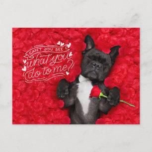 Grappige hond en rode rozen Fijne Valentijnsdag Feestdagenkaart