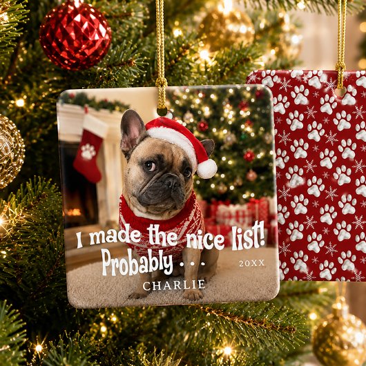 Grappige Hond Foto Keramisch Ornament
