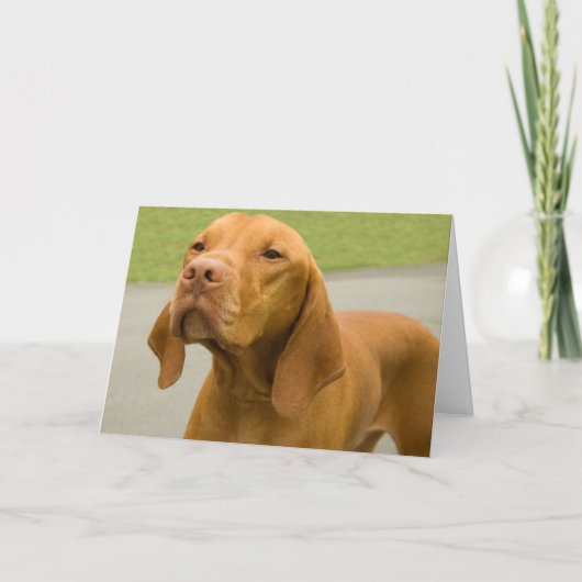 Grappige Hond Foto Vizsla Kaart (Voorkant)