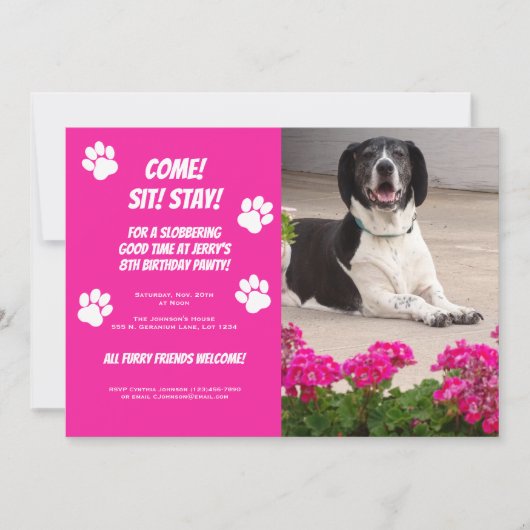 Grappige Hond Fotosjabloon Verjaardag Party Uitnod Kaart (Voorkant)