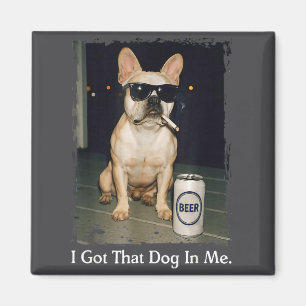 Grappige Hond Franse Bulldog Rokt Magneet