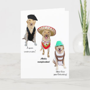 Grappige hond Happy Birthday in vier talen Kaart