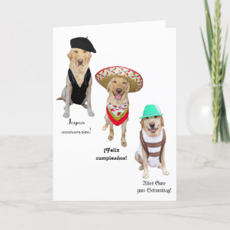Grappige hond Happy Birthday in vier talen Kaart