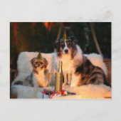 Grappige hond Happy New Year's Eve Foto Briefkaart (Voorkant)